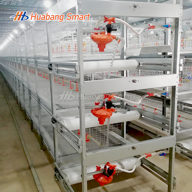 2000 Capacity Broiler Chicken Cage